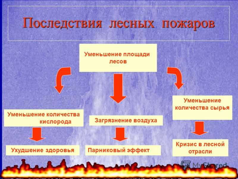 Основные меры предотвращения и тушения пожаров в природных экосистемах